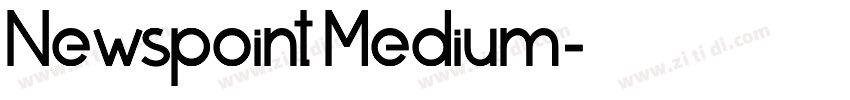 Newspoint Medium字体转换